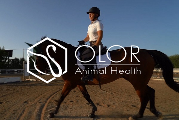 Olor Animal Health - Mangimi complementari per cavalli